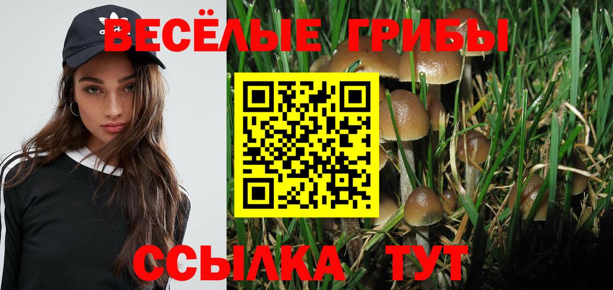 Псилоцибиновые грибы прущие грибы  Вход с VPN  где найти   Свободный 